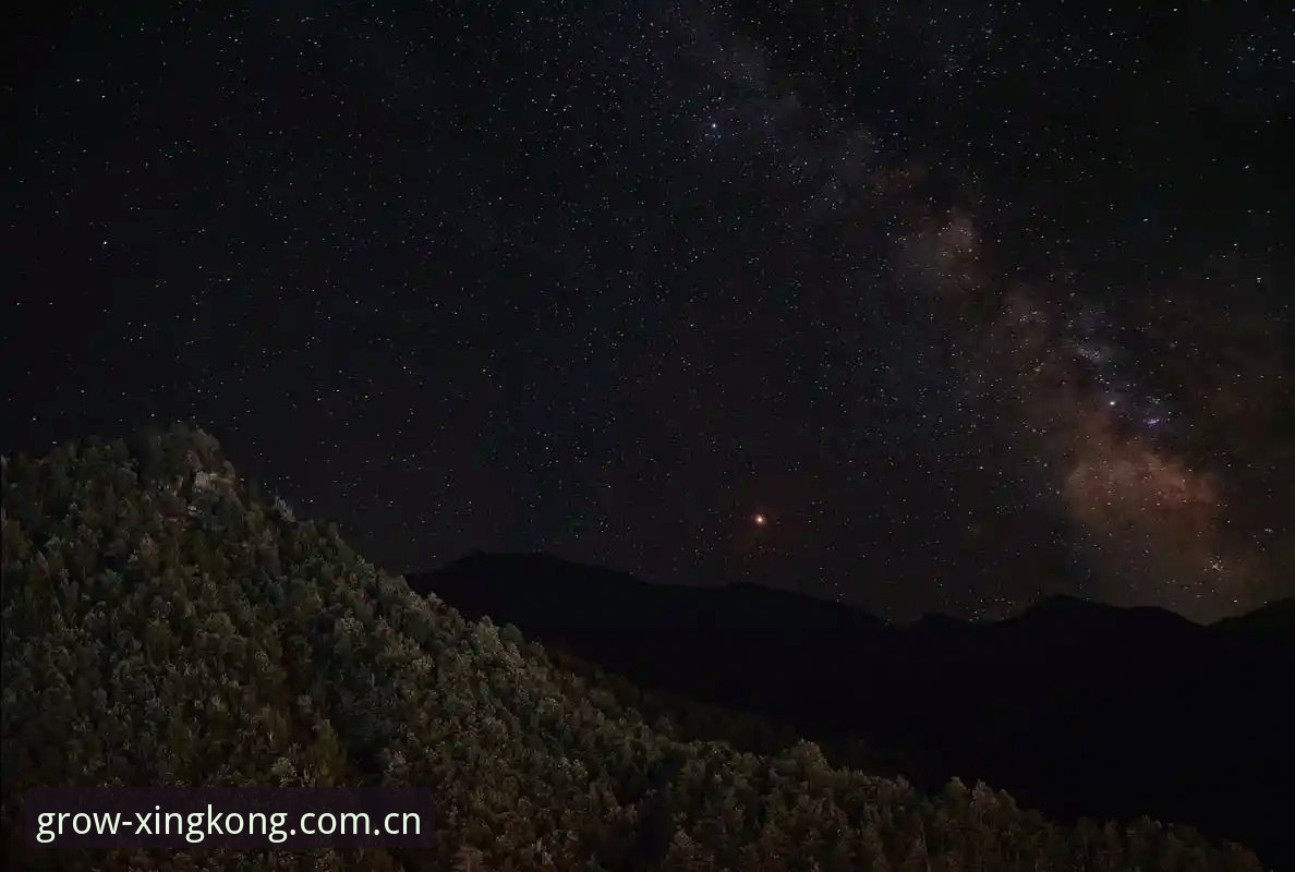 苹果手机看赛事数据，星空XINGKONG·CN到底行不行？对比实测后的真实答案