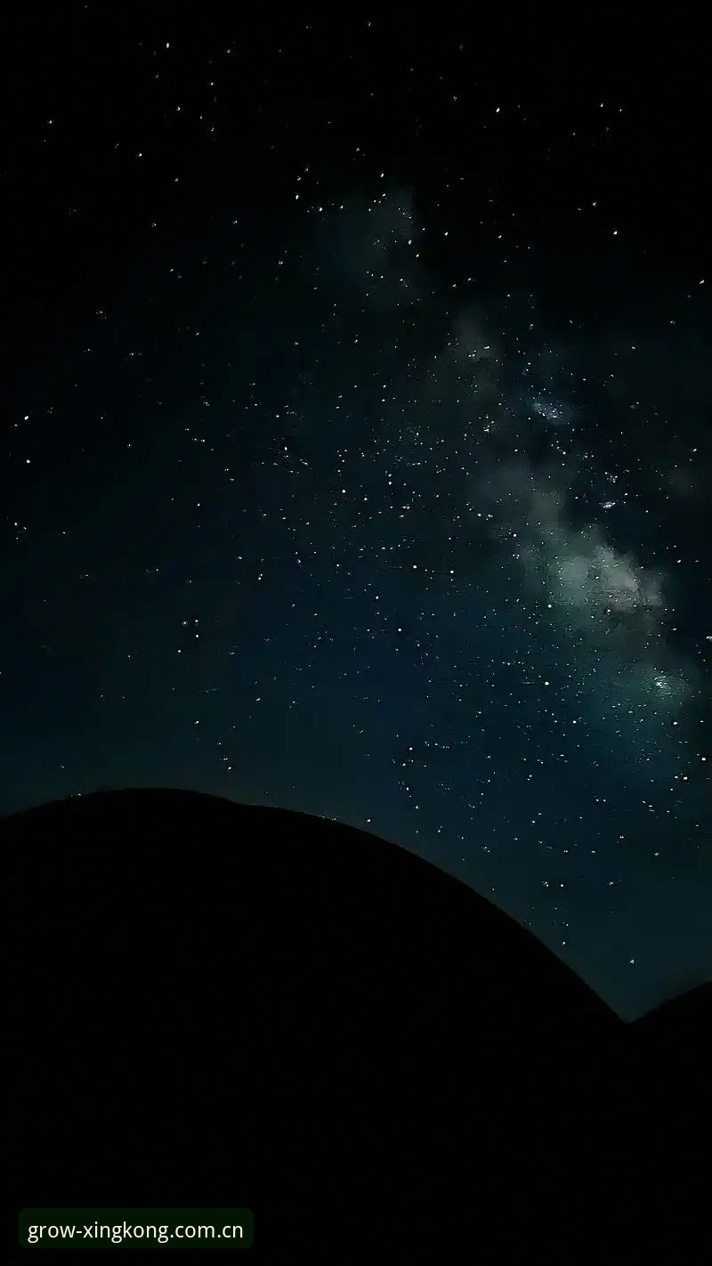星空·CN中国区PC端登录怎么样？一个体育数据平台如何改变赛事追踪方式？